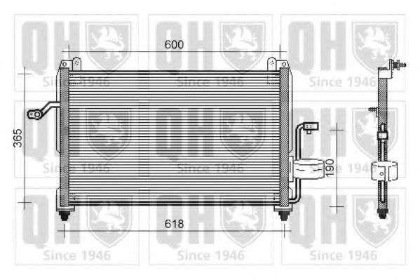 QUINTON HAZELL QCN418