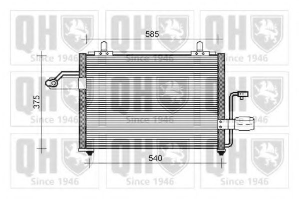 QUINTON HAZELL QCN419