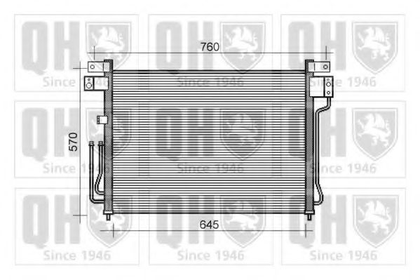 QUINTON HAZELL QCN446