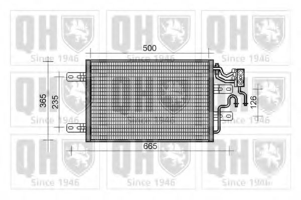 QUINTON HAZELL QCN457