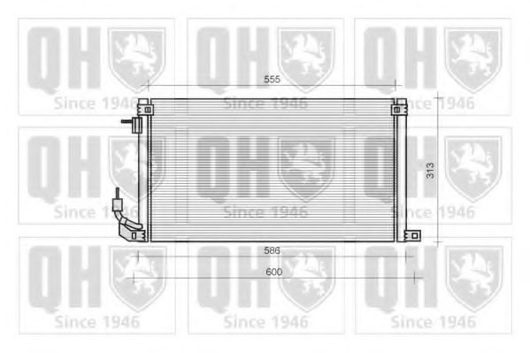 QUINTON HAZELL QCN46