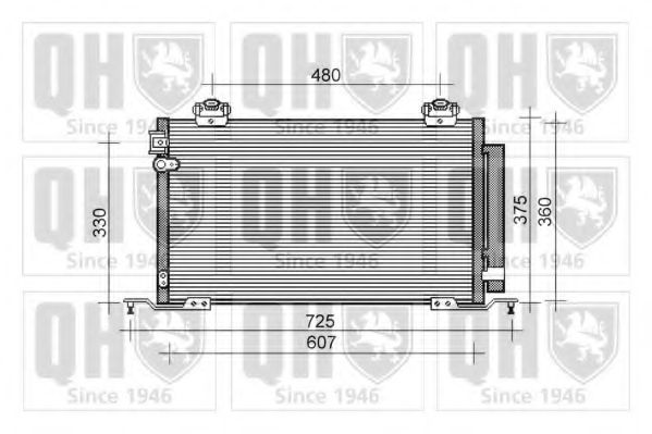 QUINTON HAZELL QCN476