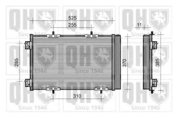 QUINTON HAZELL QCN492