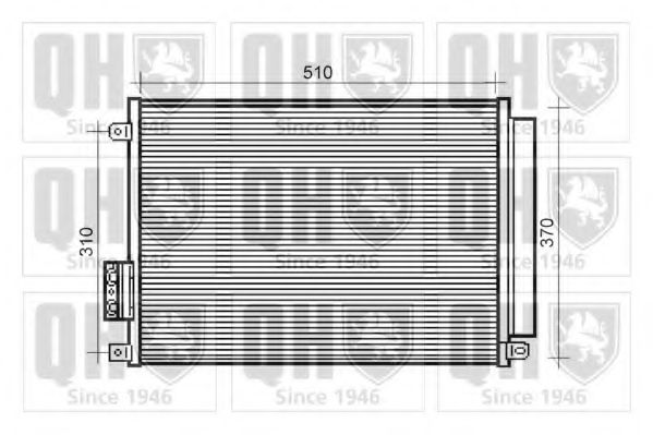 QUINTON HAZELL QCN498