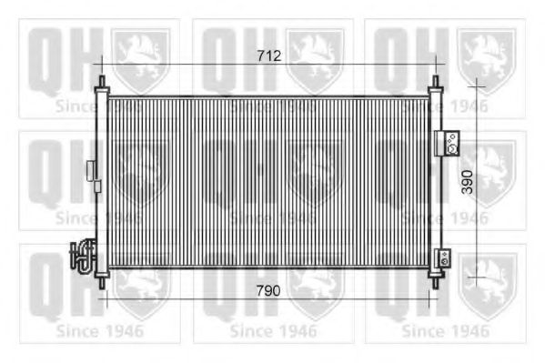 QUINTON HAZELL QCN539