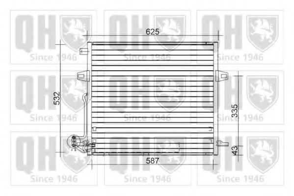 QUINTON HAZELL QCN556