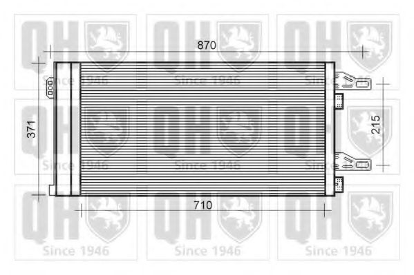 QUINTON HAZELL QCN569