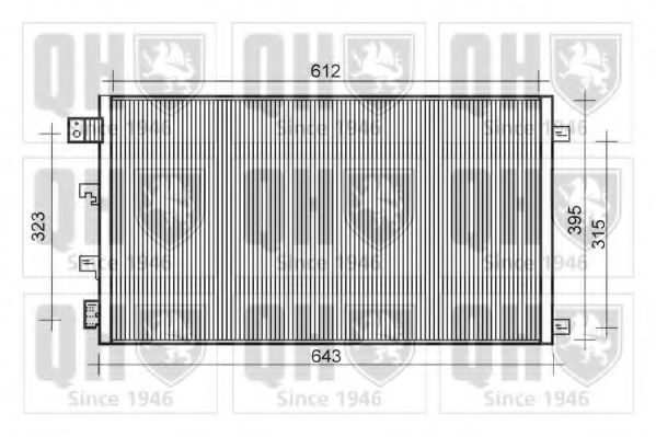 QUINTON HAZELL QCN576