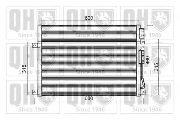 QUINTON HAZELL QCN593