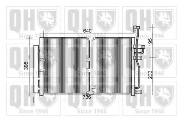 QUINTON HAZELL QCN609