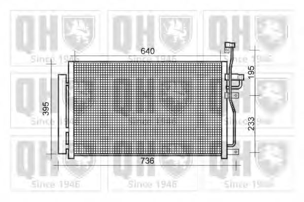 QUINTON HAZELL QCN610