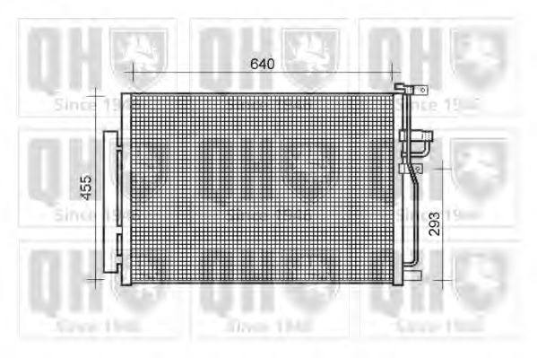 QUINTON HAZELL QCN611