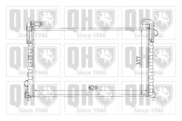 QUINTON HAZELL QER1341