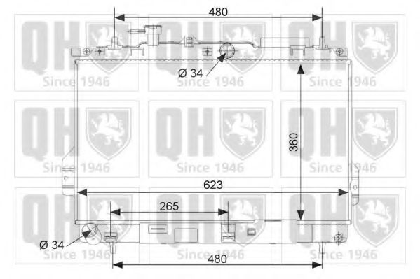 QUINTON HAZELL QER2195