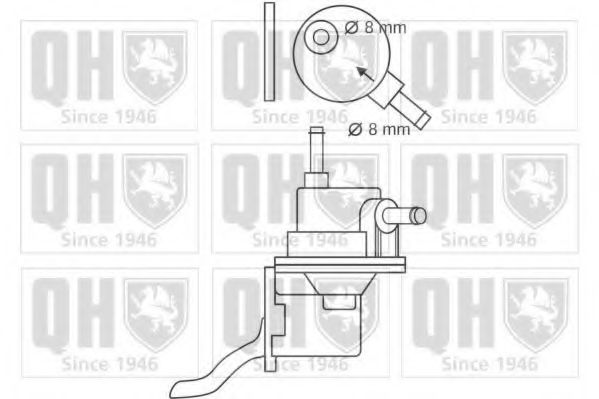 QUINTON HAZELL QFP84