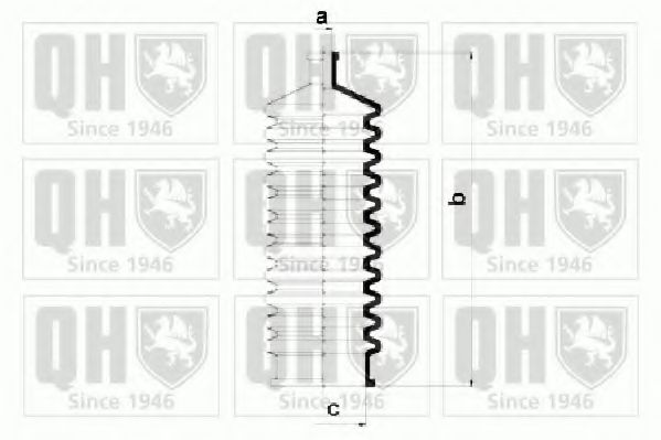 QUINTON HAZELL QG1004