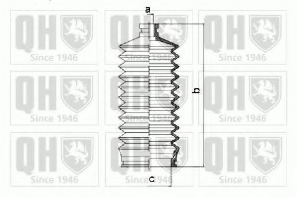 QUINTON HAZELL QG1201