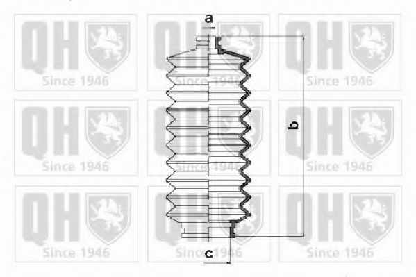 QUINTON HAZELL QG1203