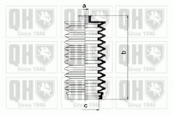 QUINTON HAZELL QG1303