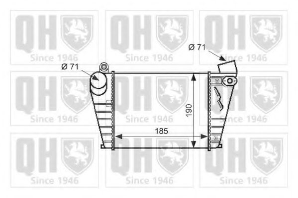 QUINTON HAZELL QIC113