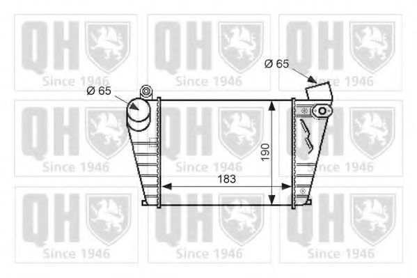 QUINTON HAZELL QIC115