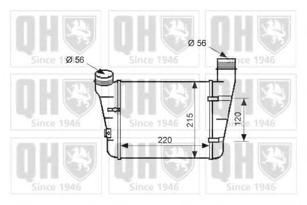 QUINTON HAZELL QIC116