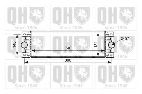 QUINTON HAZELL QIC117