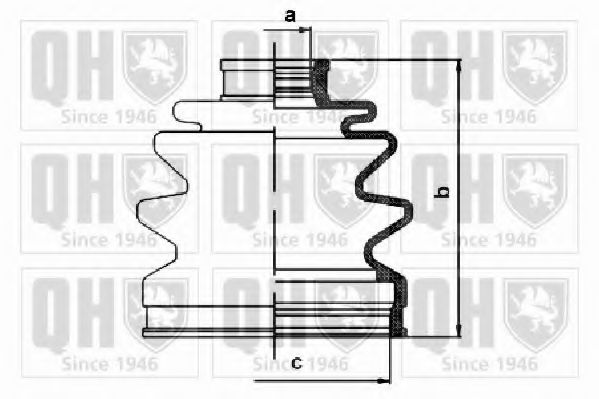 QUINTON HAZELL QJB1098