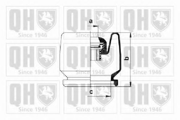 QUINTON HAZELL QJB175