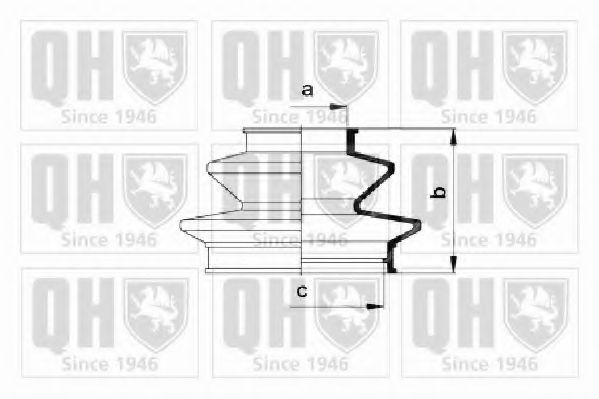 QUINTON HAZELL QJB2185