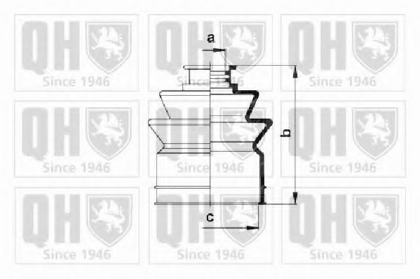 QUINTON HAZELL QJB344