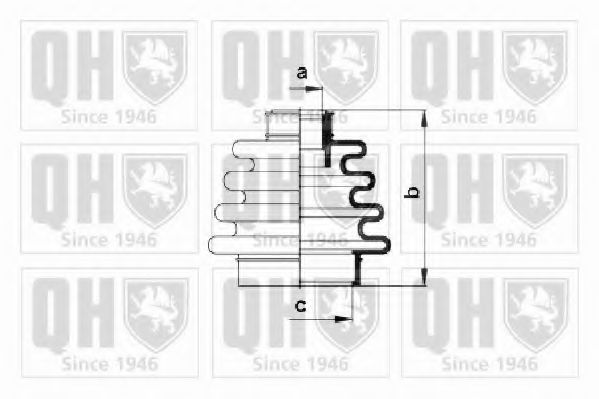 QUINTON HAZELL QJB396