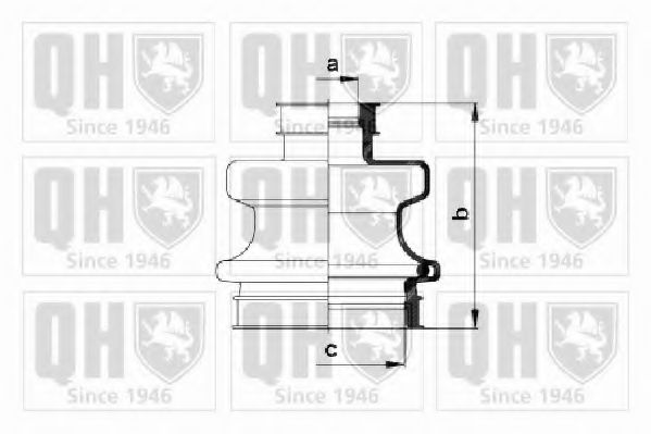 QUINTON HAZELL QJB601