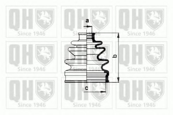 QUINTON HAZELL QJB861