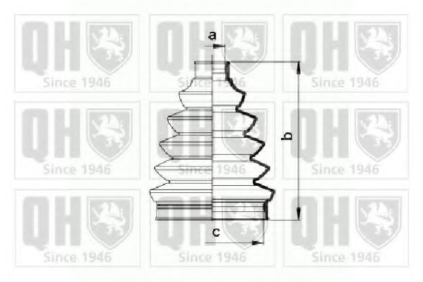 QUINTON HAZELL QJB894