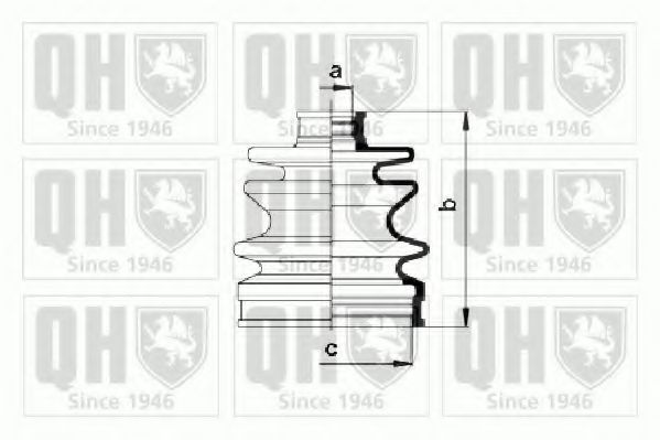 QUINTON HAZELL QJB921