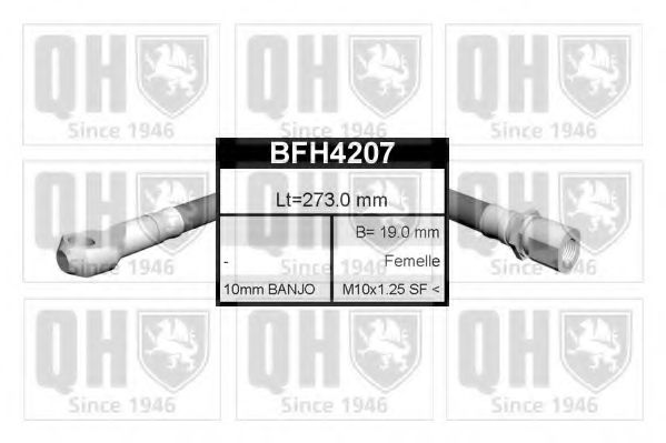 QUINTON HAZELL BFH4207