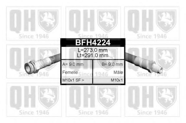 QUINTON HAZELL BFH4224