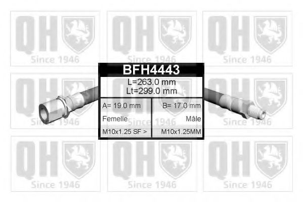 QUINTON HAZELL BFH4443
