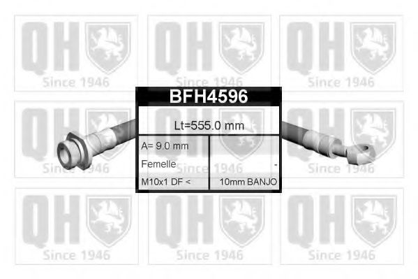 QUINTON HAZELL BFH4596