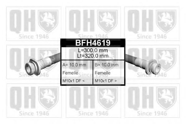 QUINTON HAZELL BFH4619