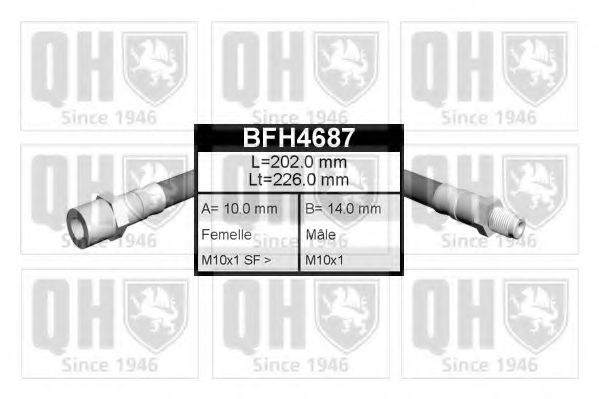 QUINTON HAZELL BFH4687