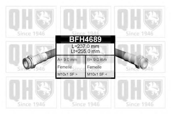 QUINTON HAZELL BFH4689