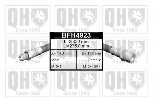 QUINTON HAZELL BFH4923