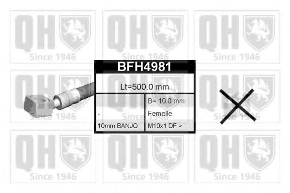QUINTON HAZELL BFH4981
