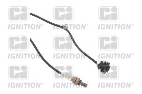 QUINTON HAZELL XLOS1795 QUINTON HAZELL XLOS1795