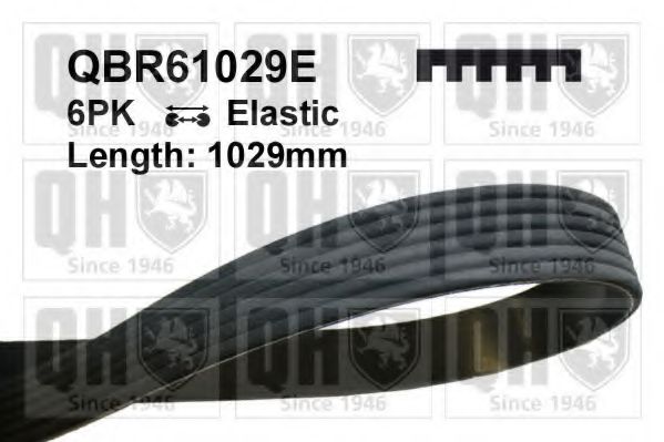 QUINTON HAZELL QBR61029E