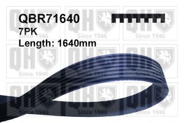 QUINTON HAZELL QBR71640