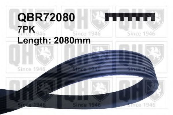 QUINTON HAZELL QBR72080