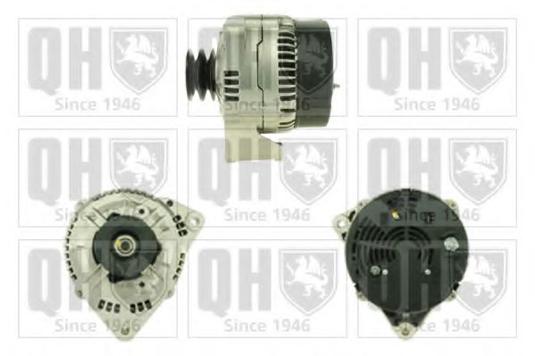 QUINTON HAZELL QRA2488